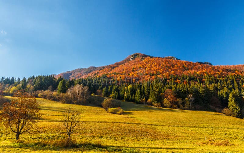 Autumn landscape in The Mala Fatra national park, Slovakia