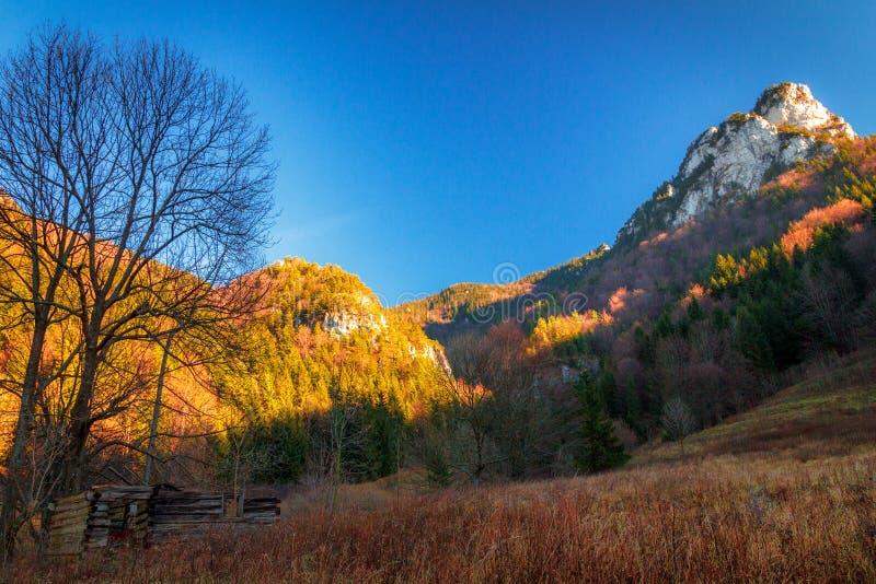 Autumn landscape in The Mala Fatra national park, Slovakia