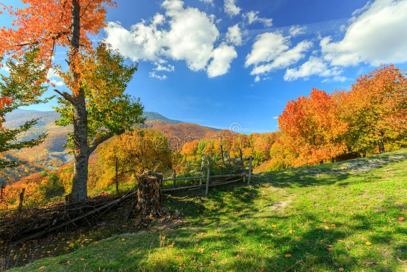 Autumn landscape