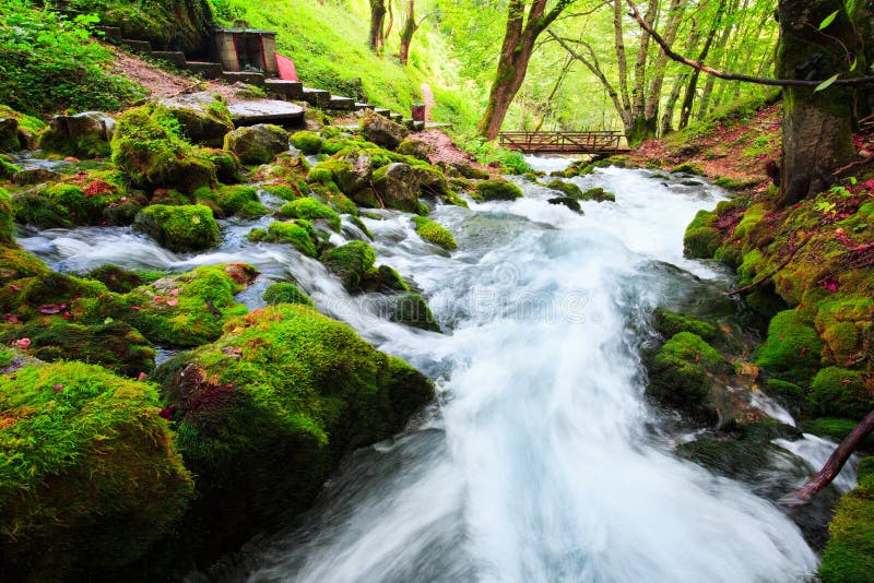 Autumn Landscape With Mountain River Flowing Among Mossy Stones Through