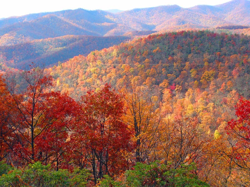 Autumn landscape in the mountains