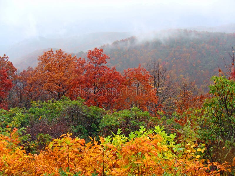 Autumn landscape in the mountains