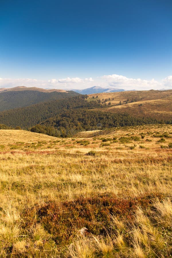 Autumn landscape in Retezat