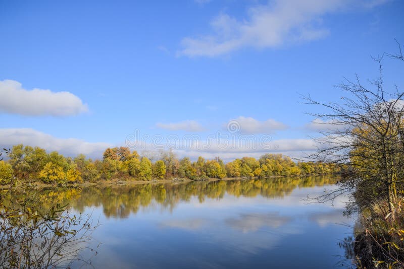 Autumn Landscape. River and River Bank with Yellow Trees. Willow and ...