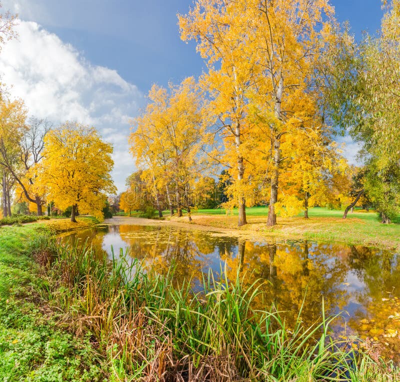 Autumn landscape with the river in the park