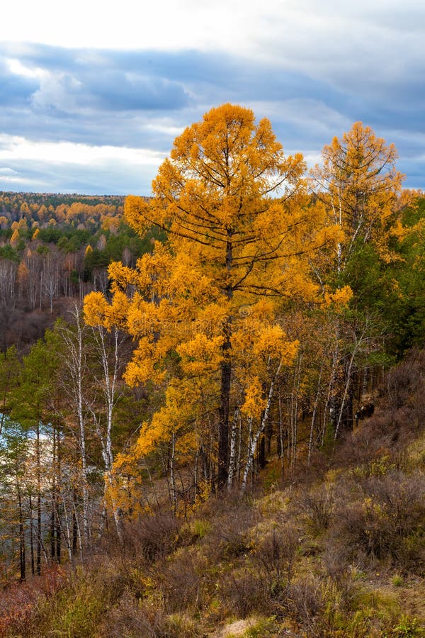 Autumn Landscape with River and on Sunset Stock Image Image of freedom, soil 235685203