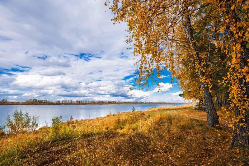 Autumn Landscape On The River Western Siberia Novosibirsk Region