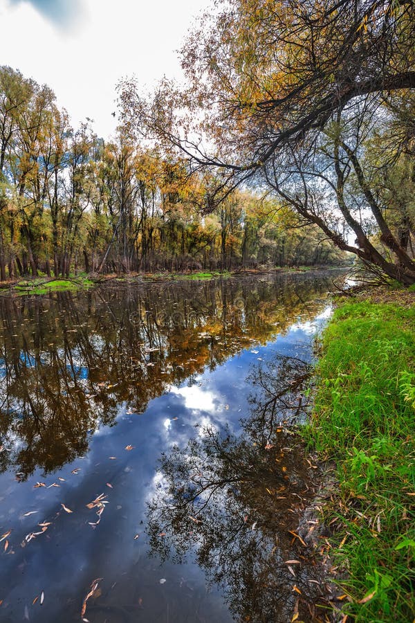 Autumn Landscape On The River Western Siberia Novosibirsk Region