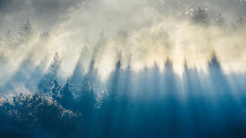 Autumn landscape, sun rays illuminating the trees in the fog