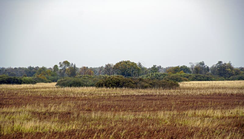 Autumn landscape. Floodplain and river Berezina. Sunny day in October. River banks covered with shrubs. Autumn landscape. Floodplain and river Berezina. Sunny day in October. River banks covered with shrubs