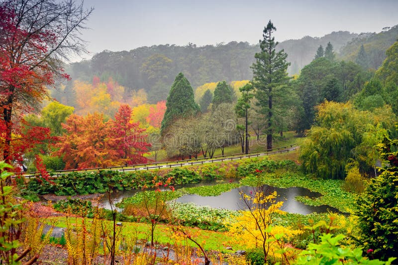 Autumn landscape under the rain stock images Autumn landscape under the rain stock images