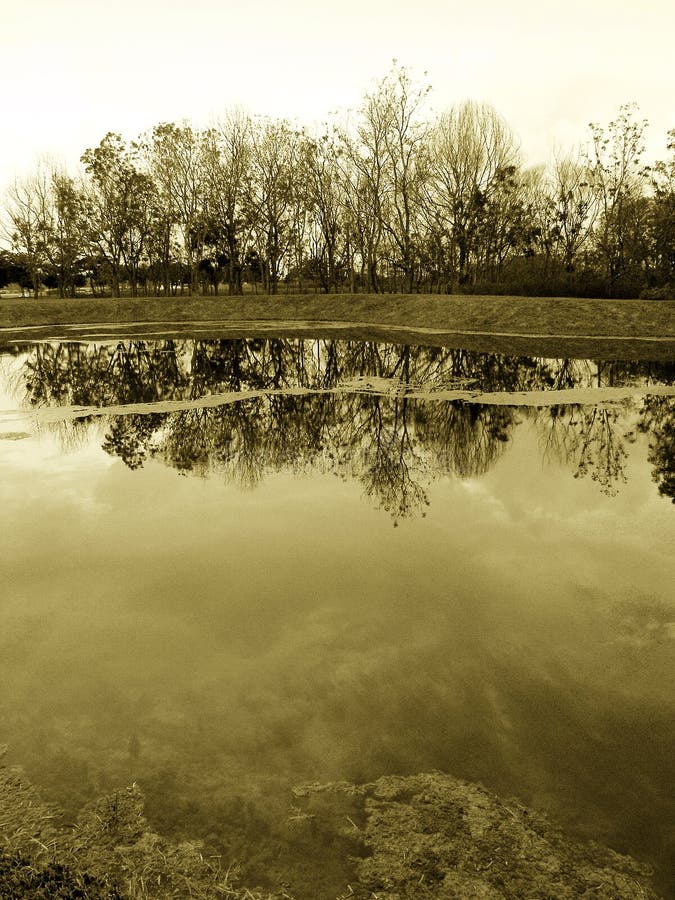 Autumn landscape, woods on lakeside, sepia