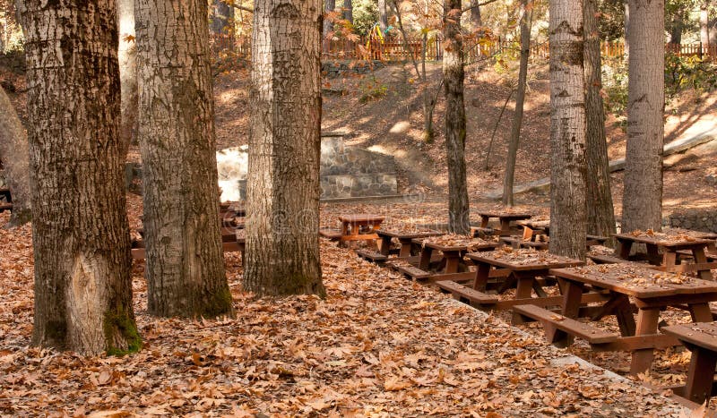 Autumn landscape