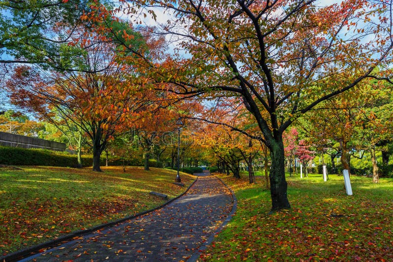 Autumn Laves al Central Park di Hiroshima fotografia stock