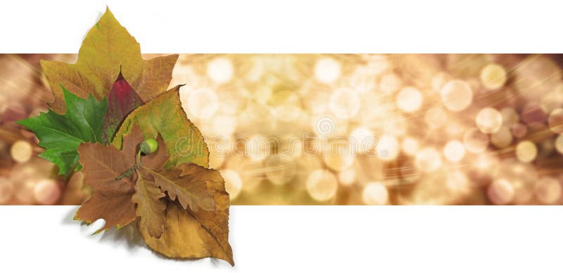Autumn Leaf Bokeh Website Banner fotografía de archivo libre de regalías Autumn Leaf Bokeh Website Banner fotografía de archivo libre de regalías