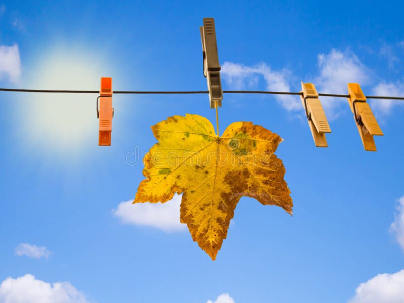 https://thumbs.dreamstime.com/b/autumn-leaf-hanging-washing-rope-blue-sky-sun-background-160200855.jpg