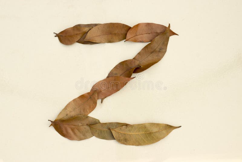 Autumn Leaf Letter Z Background Image. Natural Forest Leaf Alphabet