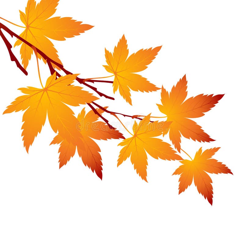 Leaf Fall Stock Illustrations – 337,886 Leaf Fall Stock Illustrations,  Vectors & Clipart - Dreamstime