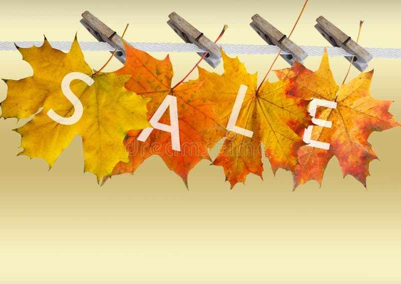 Autumn leaf for sale