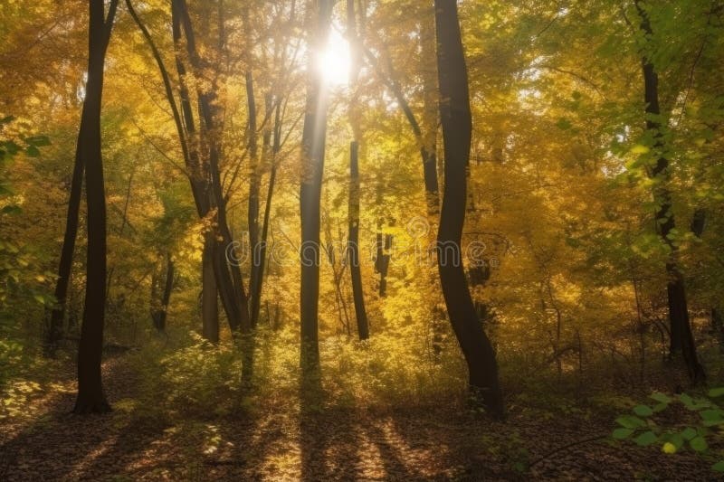 autumn-leaf-tree-generate-ai-stock-illustration-illustration-of-gold