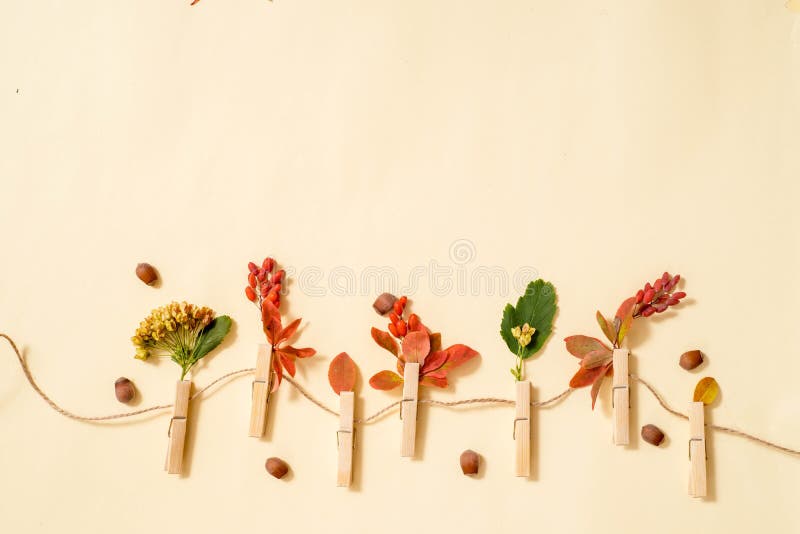 Autumn leafs in a clothes line held by clothespins. gifts and crop on a hanger. elderberry and barberry, fruits and dry leaves. Autumn card,Flat lay, top view. copy space. Autumn leafs in a clothes line held by clothespins. gifts and crop on a hanger. elderberry and barberry, fruits and dry leaves. Autumn card,Flat lay, top view. copy space