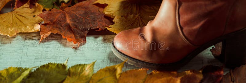 Fallen colorful autumn leafs and cones over vintage wooden surface