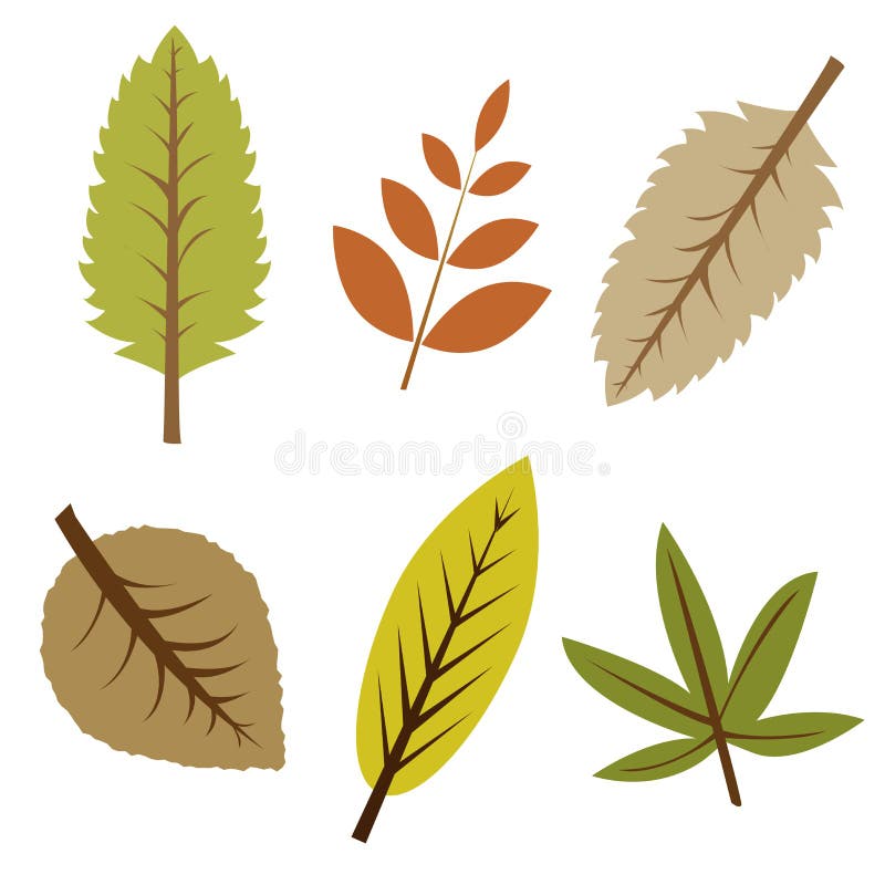 Green leaves - set stock vector. Illustration of graphic - 15125217