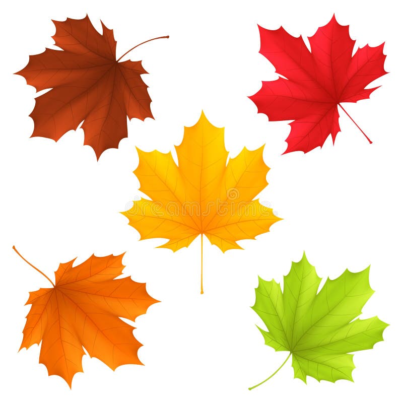 Autumn Leaves illustration libre de droits