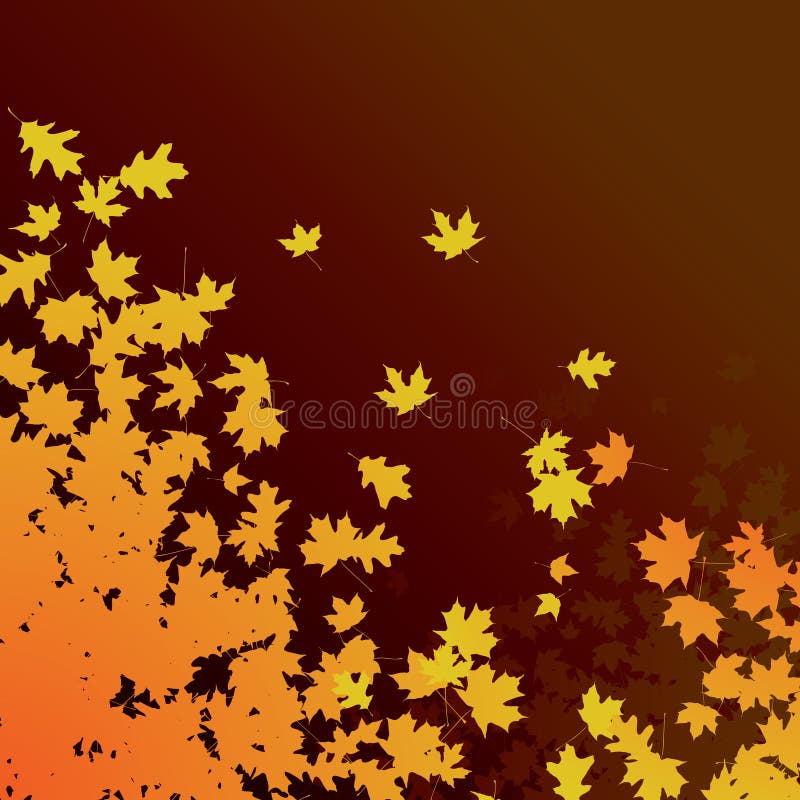 Autumn leaves