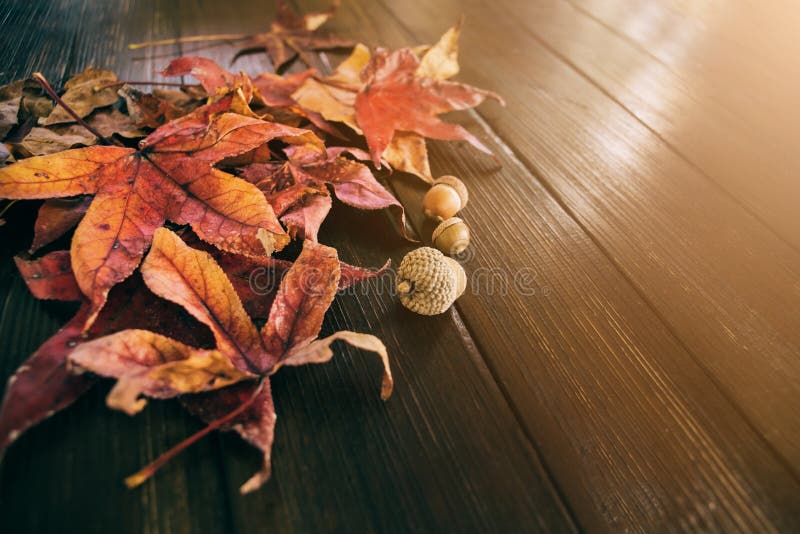 Với sắc đỏ rực rỡ của lá, vàng chanh và cam nhạt của nắng thu, mùa thu mang đến cho chúng ta một bức tranh thiên nhiên nguyên sơ và đẹp tuyệt vời. Hãy đến với những hình ảnh về màu sắc của mùa thu để tận hưởng một mùa thu thật tuyệt vời.