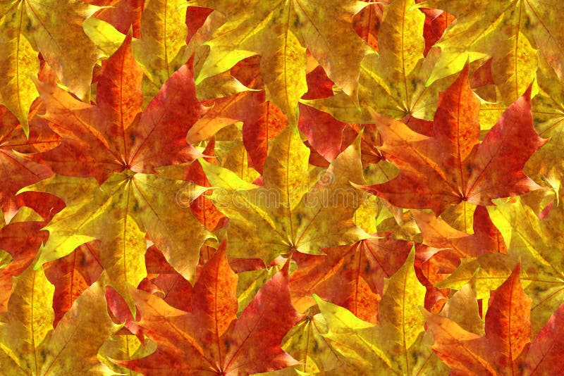 Autumn leaves background