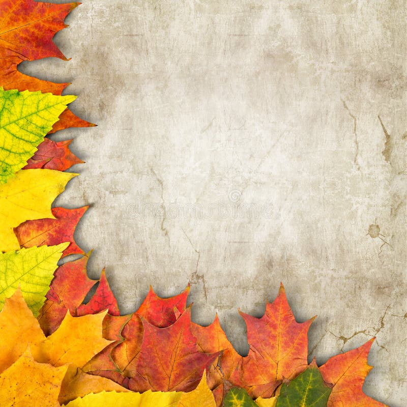 Autumn leaves as a frame. Autumn leaves as a frame