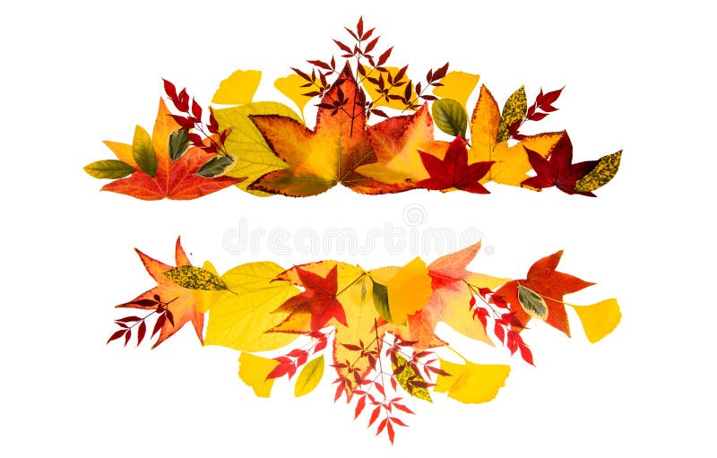 Autumn Leaves Background. Autumn Fall Frames Borders. Fall Leaf Banner