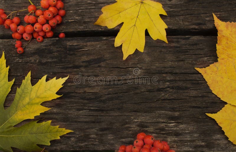 Backgroung with wooden table and autumn leaves perfect for postcards. Backgroung with wooden table and autumn leaves perfect for postcards