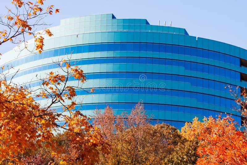 Autumn Leaves and Blue Curved Office