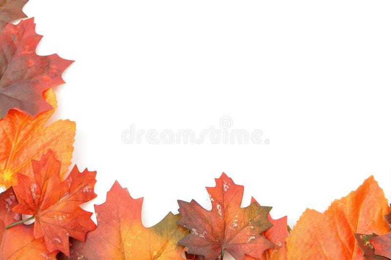 Autumn leaves border stock images