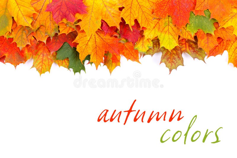 Autumn leaves border royalty free stock photos