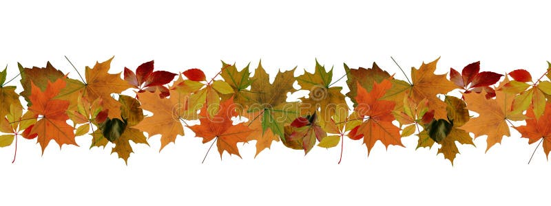 Autumn leaves border stock photography