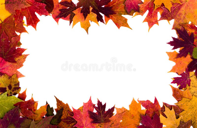 Autumn leaves border on white background stock photography