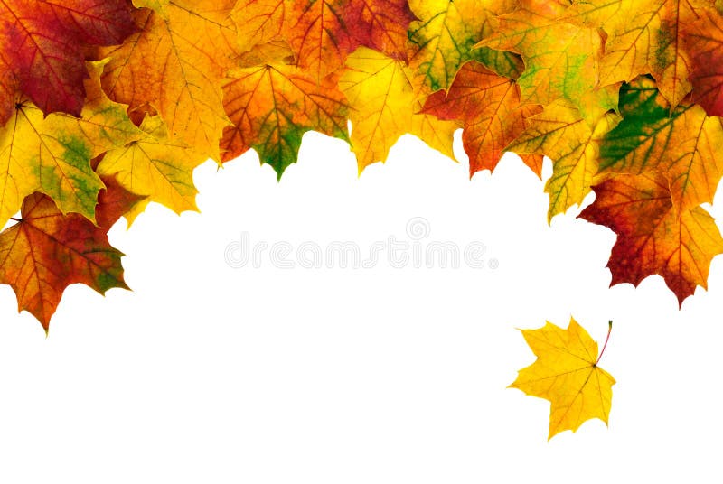 Autumn leaves building a bow-shaped border stock images