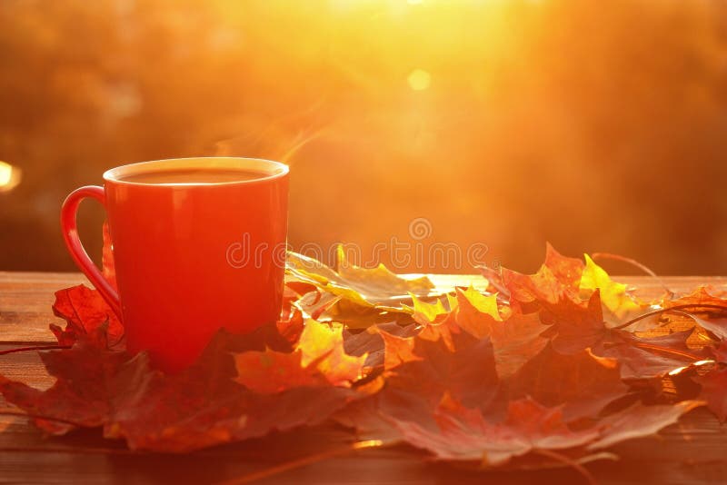 Autumn leaves and coffee cup stock images