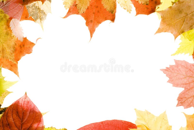 Autumn Leaves frame