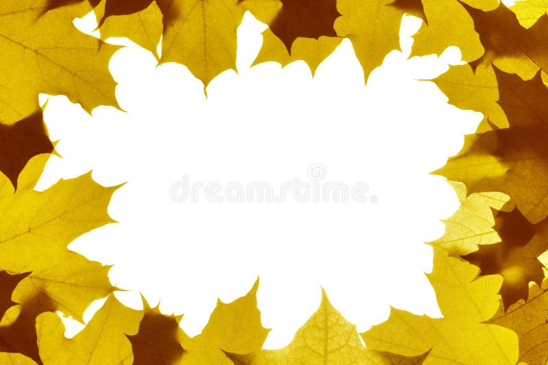 Autumn leaves frame