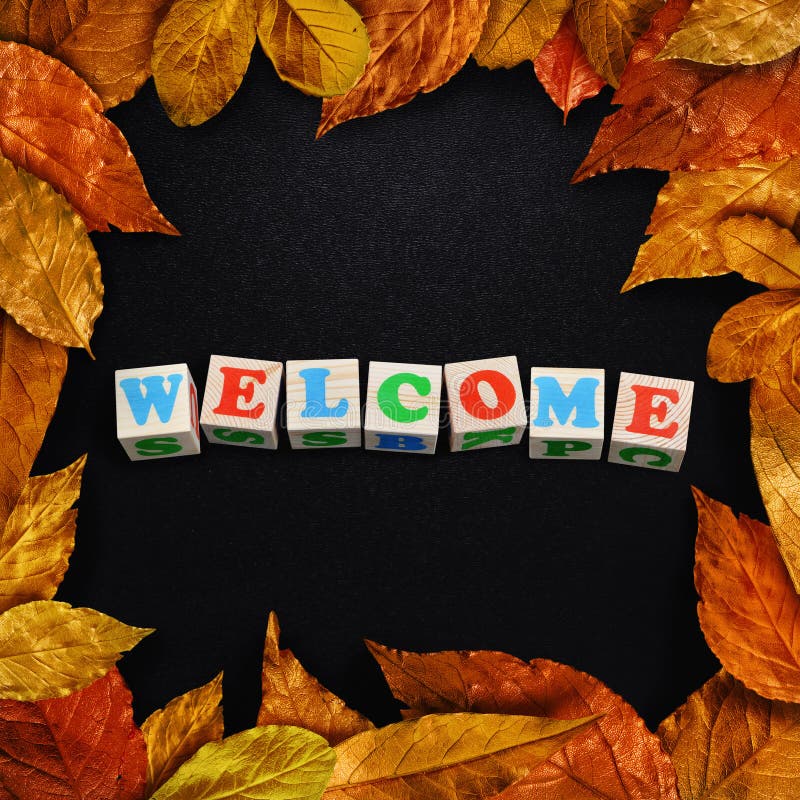 Autumn leaves framed schoolboard.