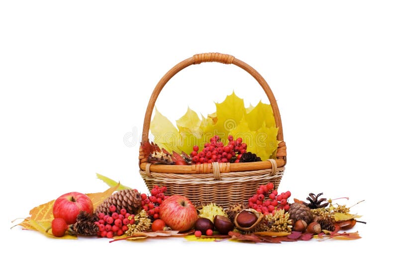 Autumn leaves and fruits