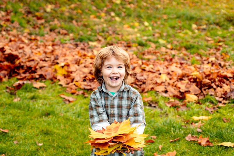 Autumn leaves. Happy child walking in autumn park. Cute boy playing with maple leaves outdoors. Toddler wears Autumn