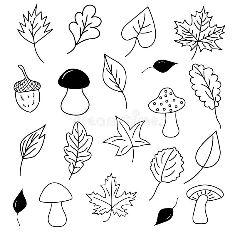 Doodle Autumn Leaves, Mushrooms and Acorns Stock Vector - Illustration ...