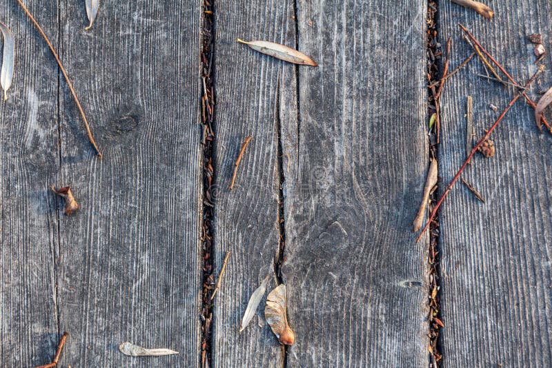 Autumn leaves on old wooden black boards royalty free stock images Autumn leaves on old wooden black boards royalty free stock images