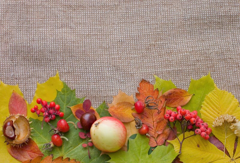 Autumn Leaves over Burlap