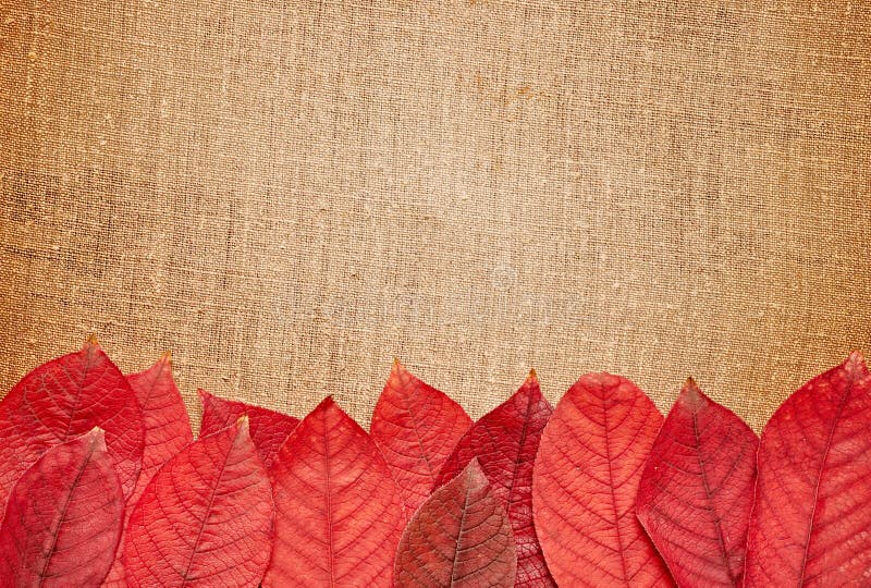 Autumn leaves over burlap background